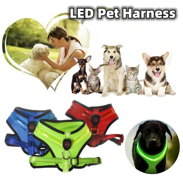 LED Dog Harness – USB Rechargeable Reflective Vest for Pets