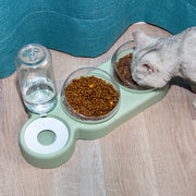 Automatic Pet Feeder with Water Fountain – Double Bowl Raised Stand for Cats & Dogs
