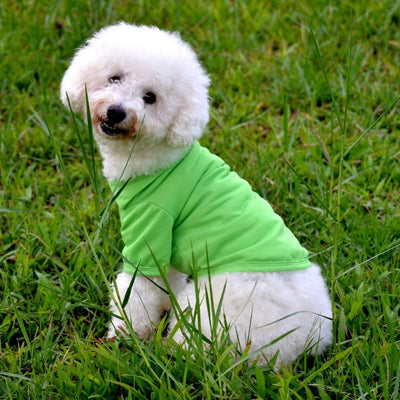 Solid Color Dog Polo Shirt – Cotton Pet T-Shirt with Lapel for Puppies & Small Dogs