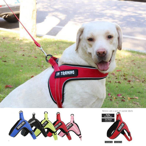 Custom Breathable Harness Vest for Dog