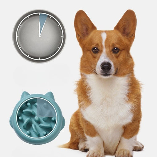 Anti-Choking Slow Feeder Bowl for Dogs & Cats