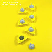 Edible Catnip Ball Toy – Silvervine Wall Treat for Indoor Cats