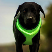 LED Dog Harness – USB Rechargeable Reflective Vest for Pets