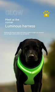 LED Dog Harness – USB Rechargeable Reflective Vest for Pets