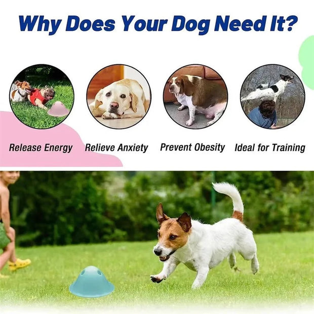 Interactive Dog Chew Toy with Hidden Treats – Puzzle for Large Dogs